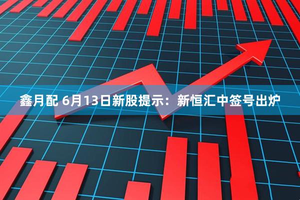 鑫月配 6月13日新股提示：新恒汇中签号出炉