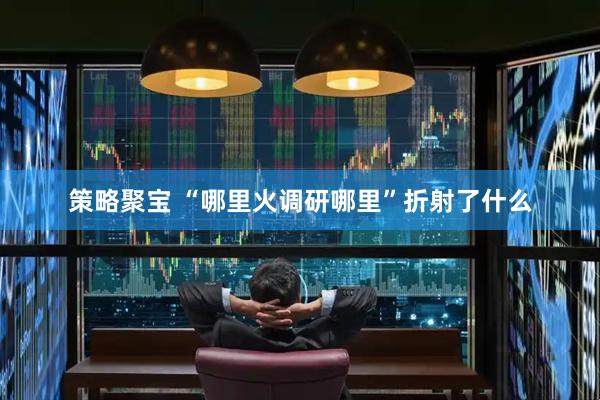 策略聚宝 “哪里火调研哪里”折射了什么