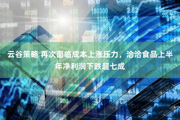 云谷策略 再次面临成本上涨压力，洽洽食品上半年净利润下跌超七成