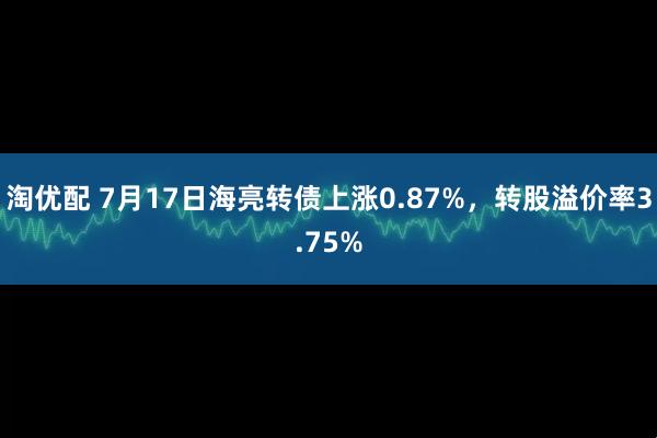淘优配 7月17日海亮转债上涨0.87%，转股溢价率3.75%