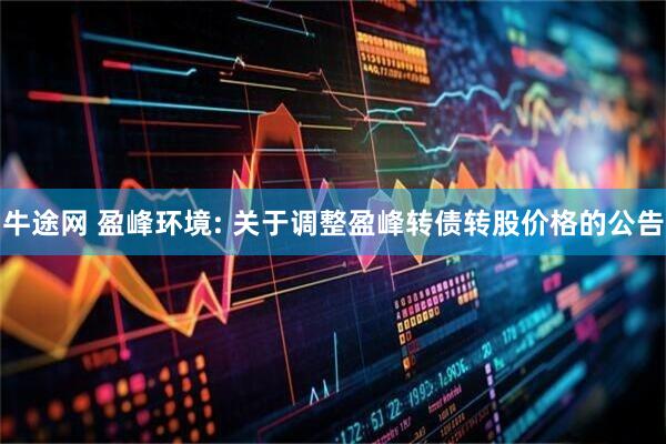 牛途网 盈峰环境: 关于调整盈峰转债转股价格的公告