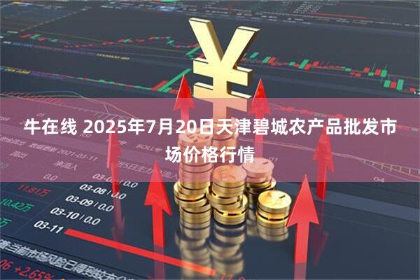 牛在线 2025年7月20日天津碧城农产品批发市场价格行情