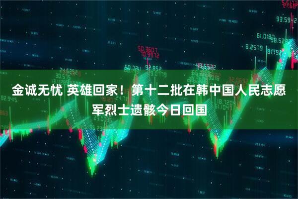 金诚无忧 英雄回家！第十二批在韩中国人民志愿军烈士遗骸今日回国