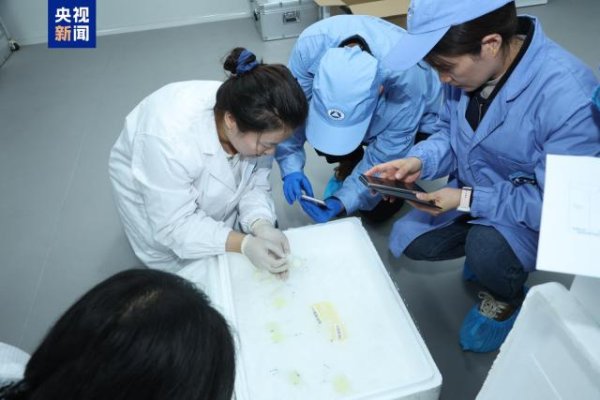 富腾优配 中国空间站第九批实验样品返回并交付科学家