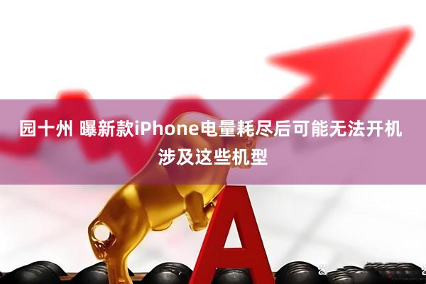 园十州 曝新款iPhone电量耗尽后可能无法开机 涉及这些机型